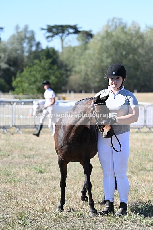 WJ7_1902 - Class 43 Best Six Legs (In hand)
