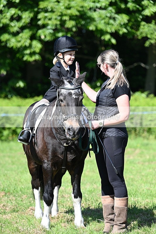 WJ7_0473 - Class 8 First Rally Pony