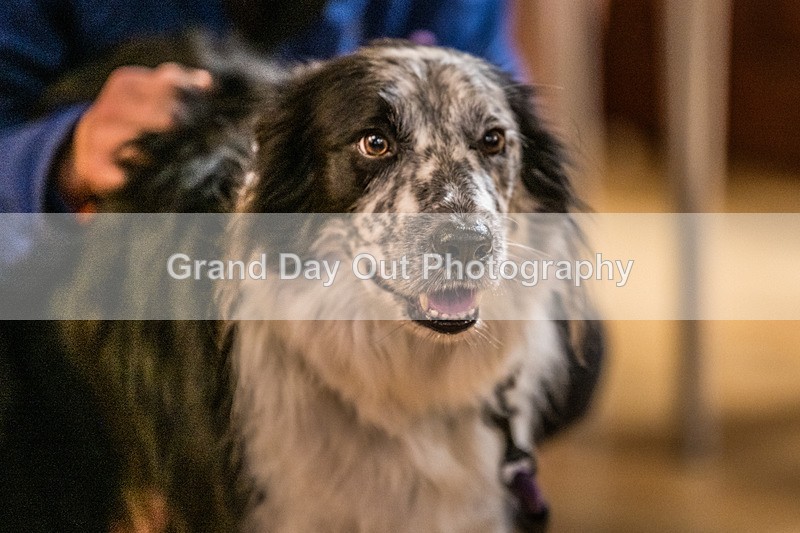 Litton-26 - Litton Christmas Cracker Fell Race Sunday 15th December 2024