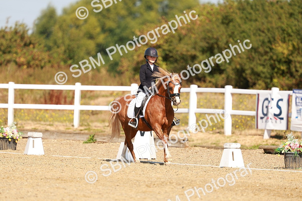 SBM_017569 - Class 9 - N5 Bronze 10.33.11.36