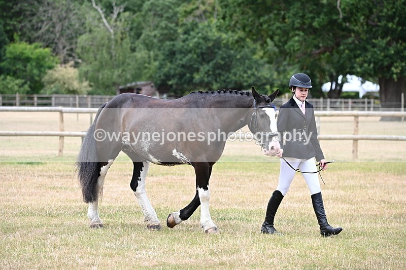 WJ6_4550 - Class 10 Coloured In-hand
