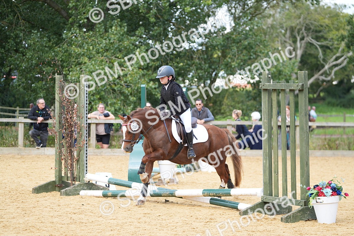 SBM_64383 - J2 - Mini Tour Junior Pony 30cm Championship