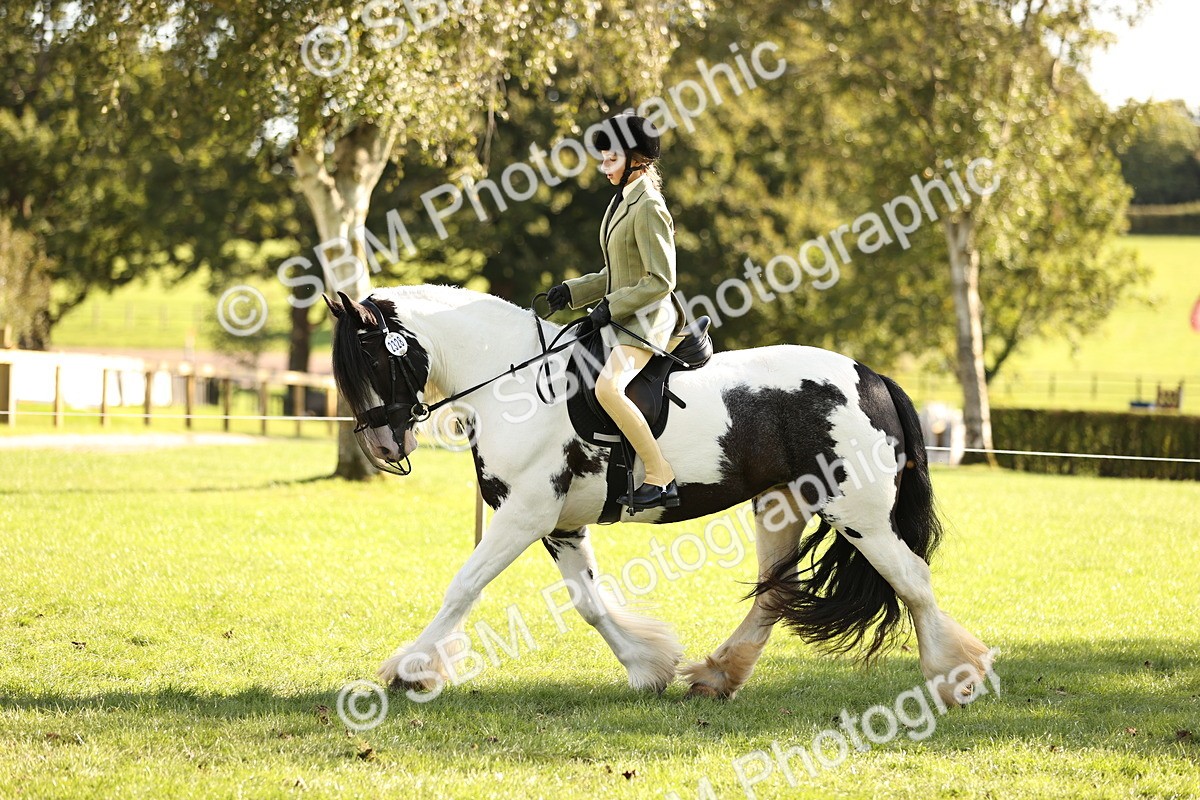SBM_26440 - S6 - Novice & Newcomers Ridden Horse