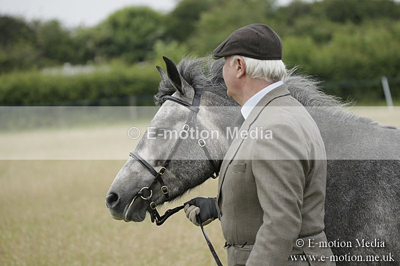 B230619-0080 - Bourne Valley Riding Club Summer Show 23/06/19