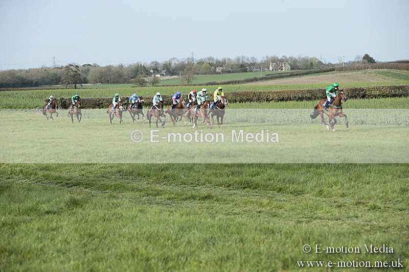 PtP 230319 449 - VWH Hunt Siddington Point-to-Point Racing 23/03/19