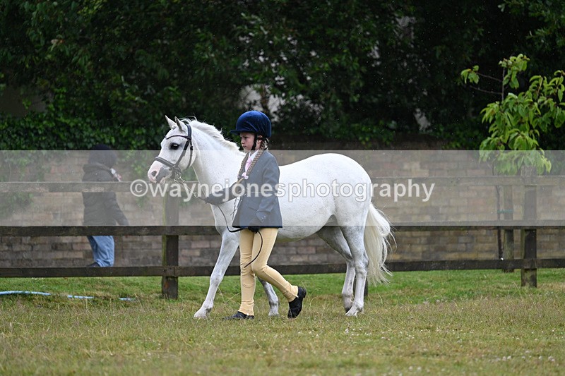 WJ7_5720 - Class 4 Prettiest Mare in Hand