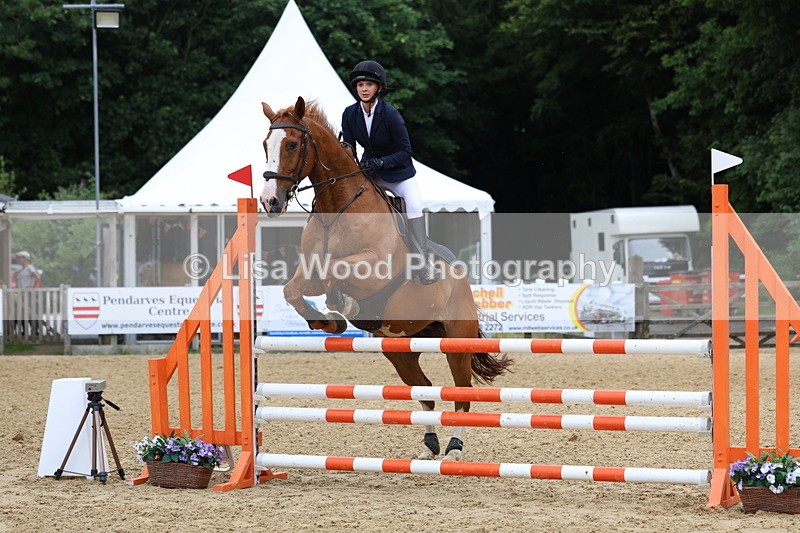 3E7A6452 - Class 4: Senior British Novice/90cm open