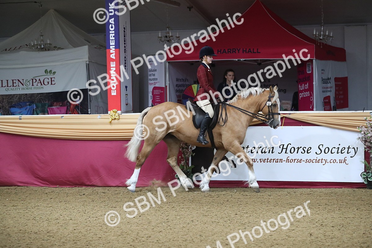 SBM_10334 - Class 102 Equitation (best rider) Adult