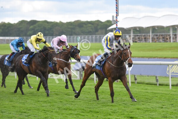 yr22052021r6-27 - Race 6 4.55pm Reg Bond