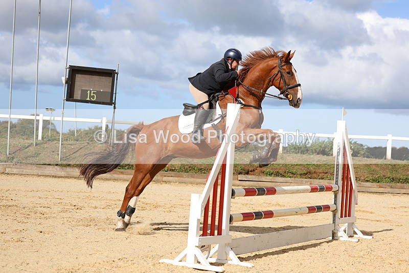 3E7A2100 - Class 4: Senior British Novice/90cm open