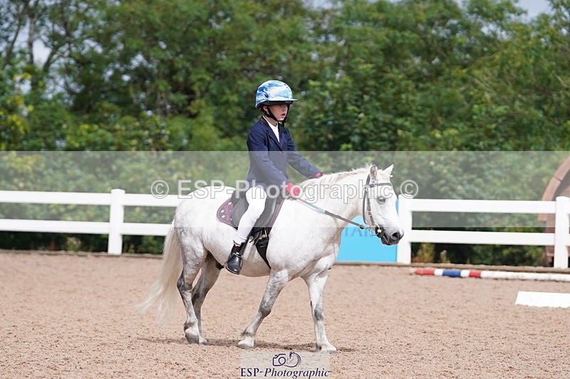 240809A-110138-00704 - Dressage Competition