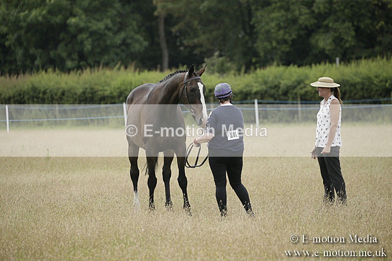 B230619-0294 - Bourne Valley Riding Club Summer Show 23/06/19