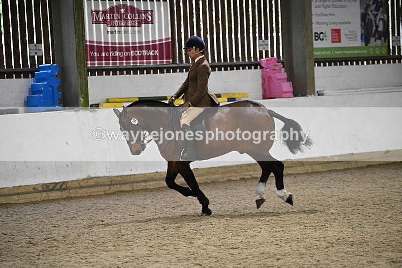 WJ7_4036 - Class 17 Ridden Cob