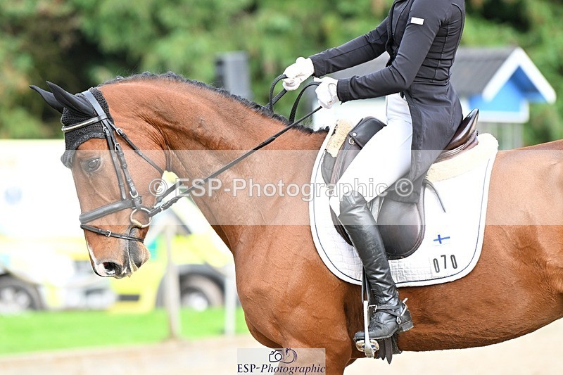 231019-163322-05363 - 070-SLIGO.CASTLE.JACOMAR-Veera.Peltokangas-DR