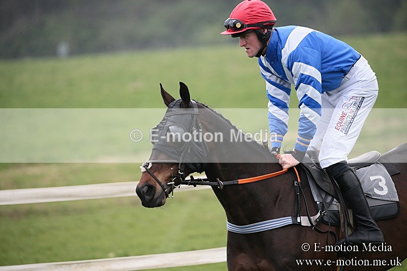 PtP 210418 57 - South & West Wilts Point-to-Point Larkhill 21/04/18