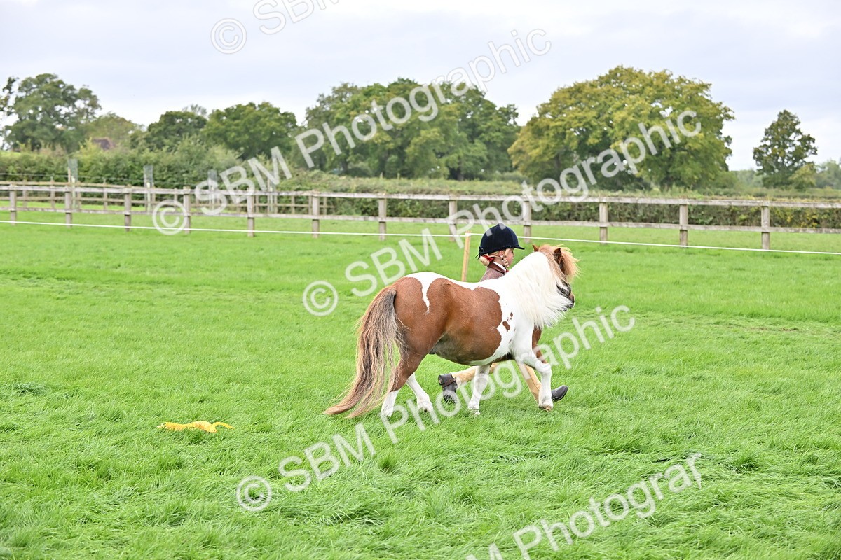 SBM_66842 - S41 - Junior Handler 8 Years & Under