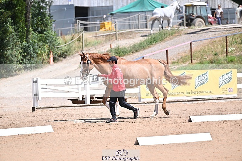 250716-123107-00028 - Trot Up 12.30 to 1.30