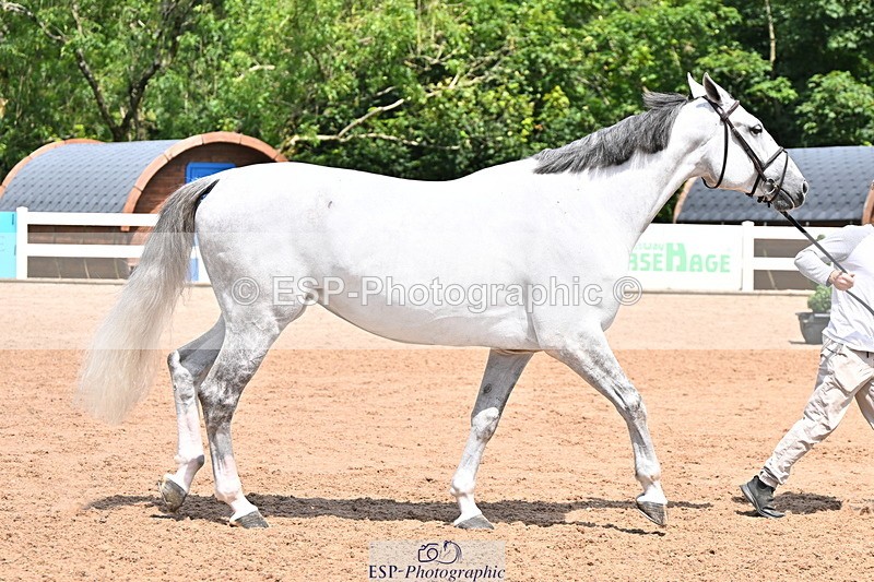240718A-105301-01455 - Trot Up 12pm to 1pm