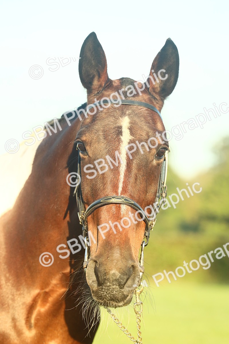 SBM_56590 - S36 - Starters Best Turnout