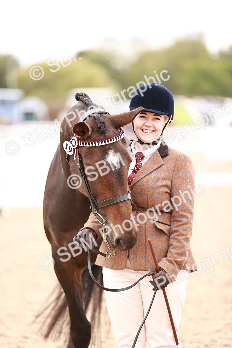 SBM_16361 - Class 413 - Best Condition - Adult