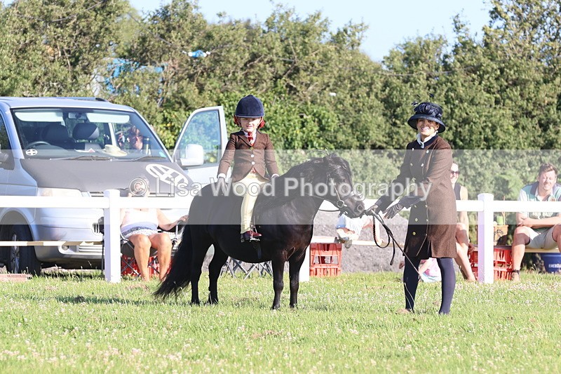 JPP_0859 - Class 16: Cornish Combination Leading Rein