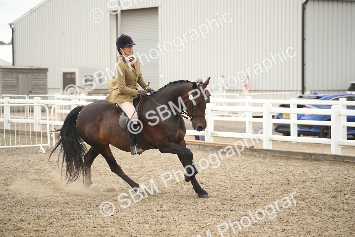 SBM_18408 - Class 509B - Working Veteran - 80cm (20+)