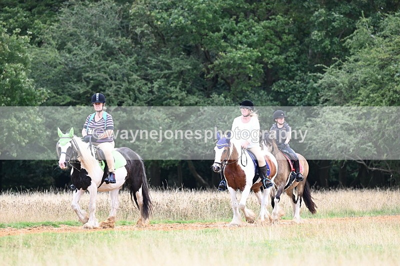 DSC_6233 - Time at Statue 12:17 to 12:44