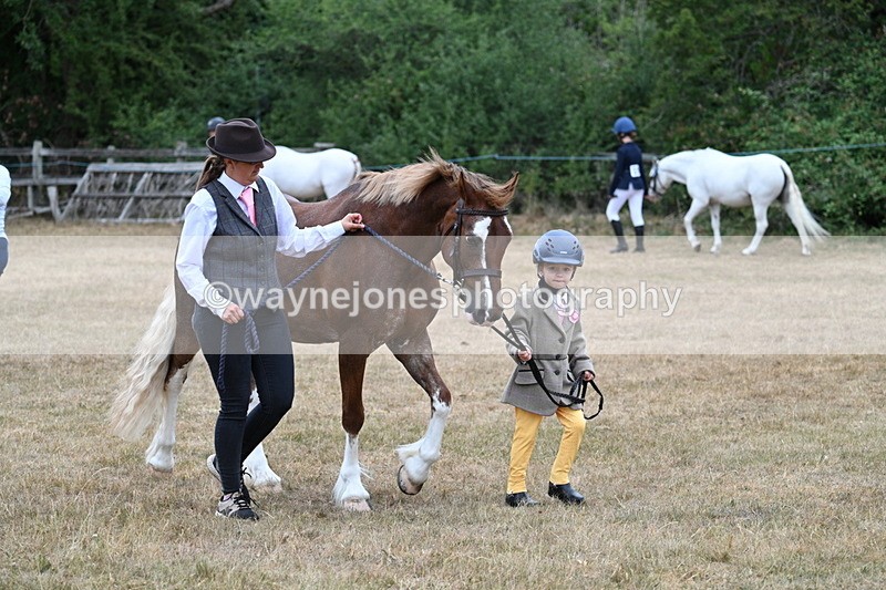 WJ7_8049 - Class 4 Prettiest Mare up to 14.2hh