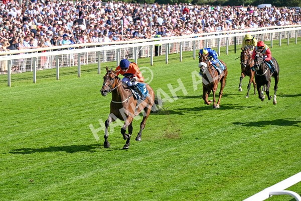 120725-Race 6-Terrorise-0496 - Race 6 4.45pm John Smith's Stayers' Handicap