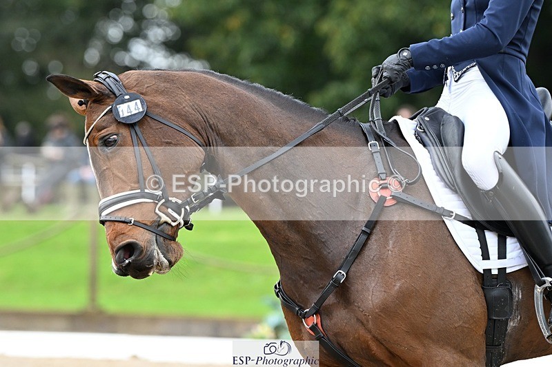 231019-122225-02744 - 044-COOLEY.ON.THE.CARDS-Charlotte.Cooke-DR