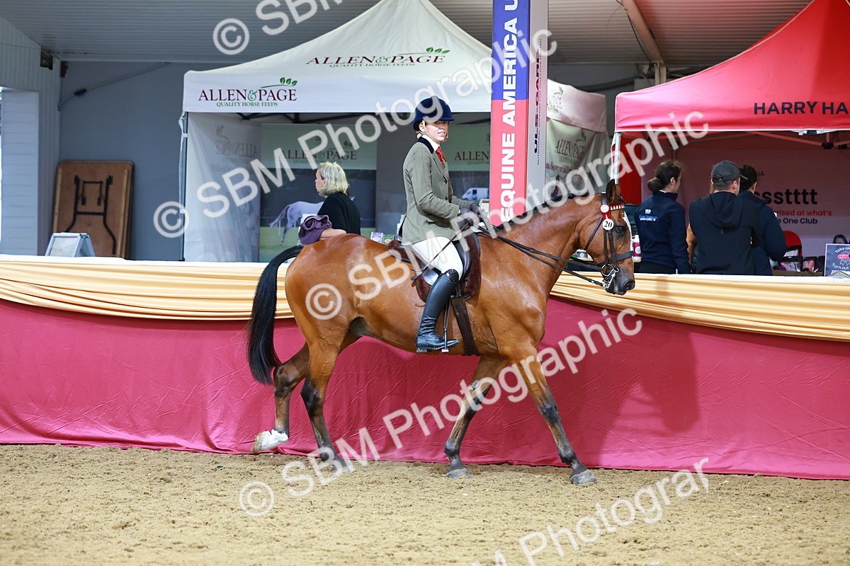 SBM_00309