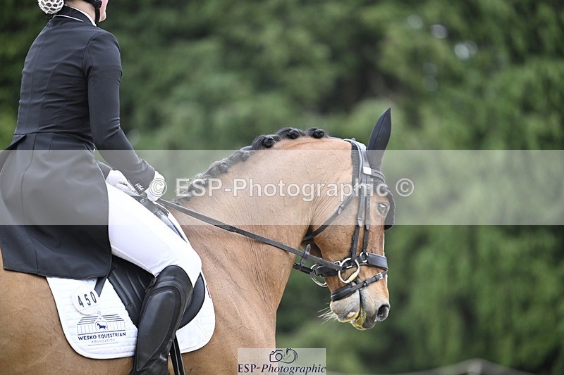 240523-170914-05635 - 450-CEDARMOUNT_CAVALIER-Grace_Cooper