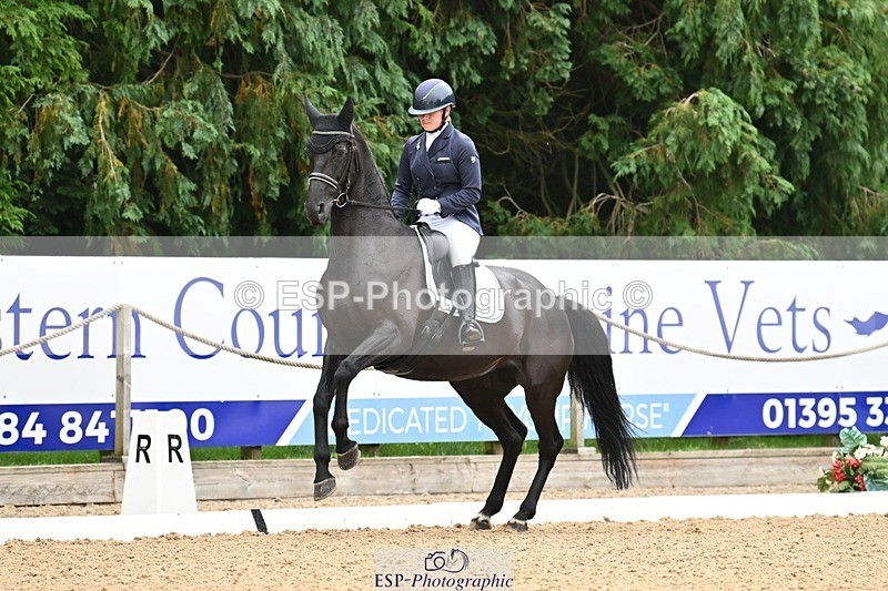 240811-100526-04669 - 117-Katie.Kneen-Springtime.Everafter