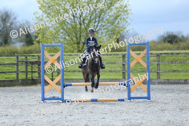 20260412-1806 - Show Jumping