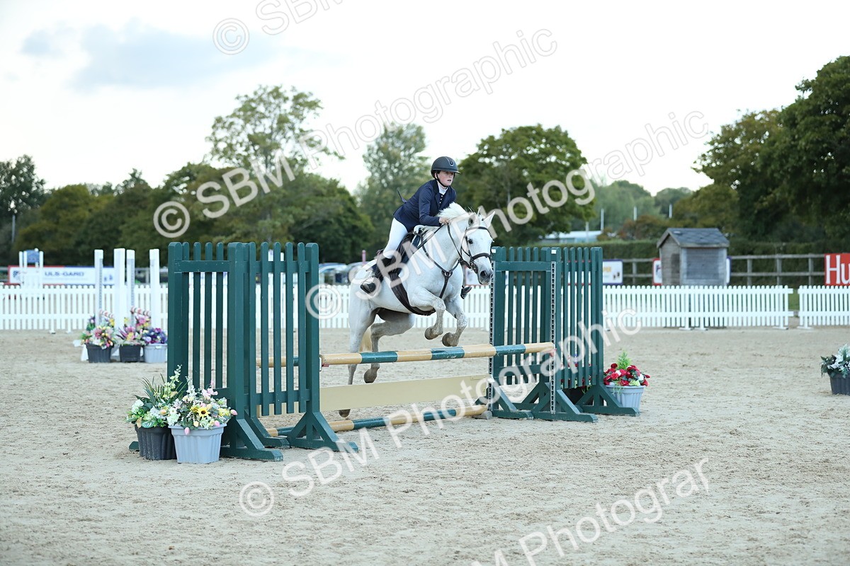 SBM_53731 - Supreme Championship 65cm 70cm