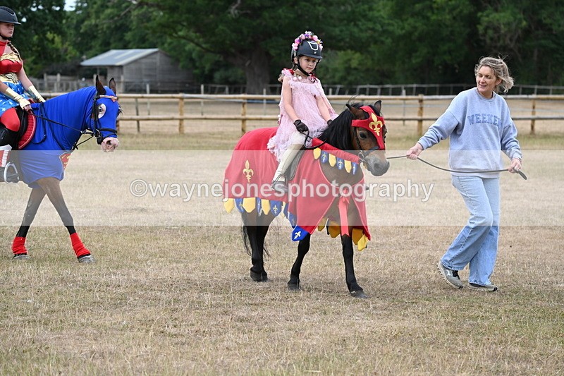WJ6_8656 - Class 11 Fancy Dress