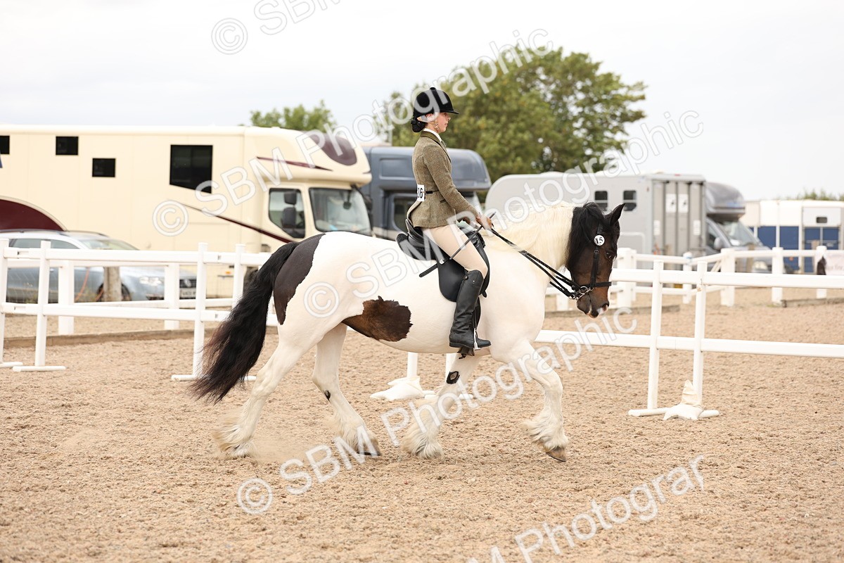 SBM_19641 - Class 216 - Ridden Traditional - Native Cob