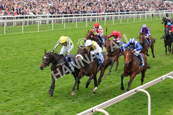 yr09102021r5-19 - Race 5 3.50pm Coral ebfstallions.com Novice Stakes