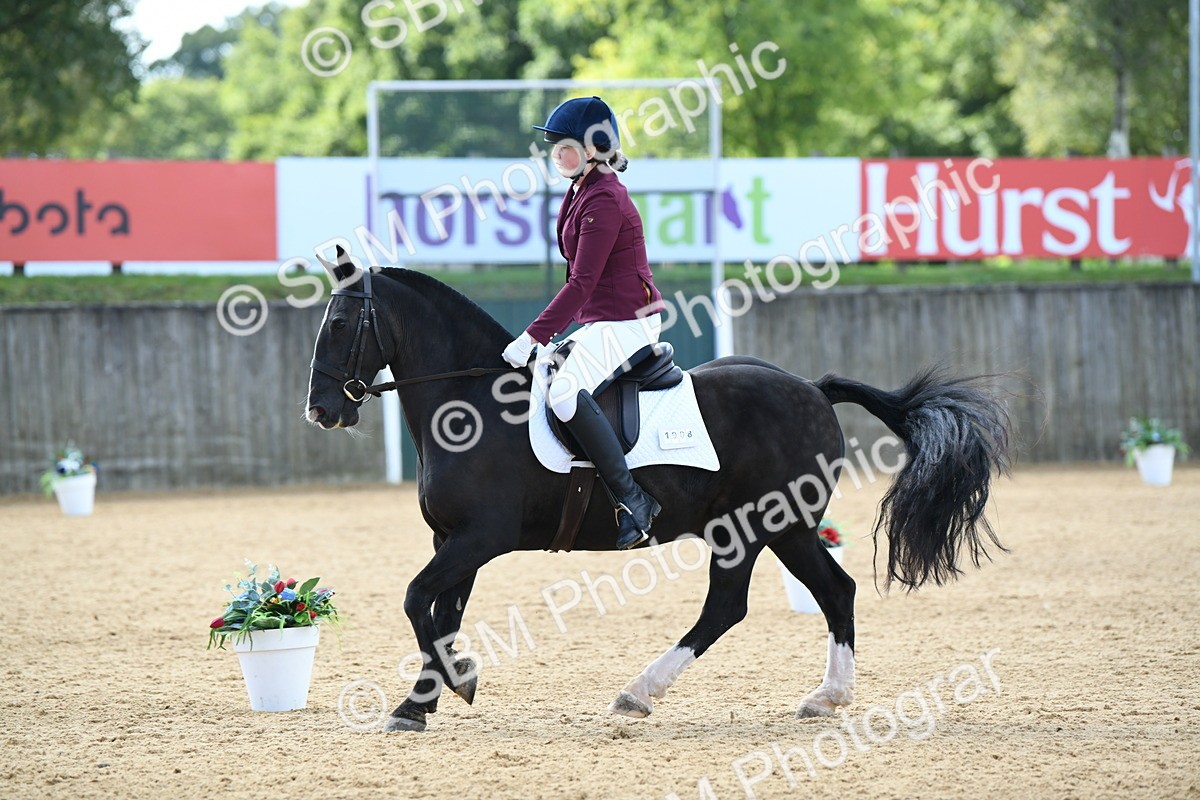 SBM_04619 - D7 Small Tour Championship Prelim 1