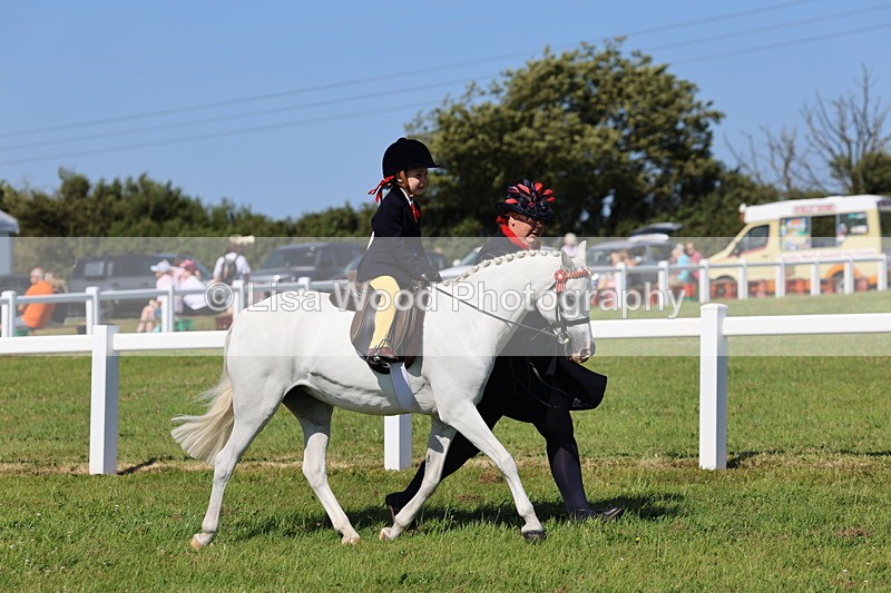IMG_1847 - Plaited Mini Ridden Championship