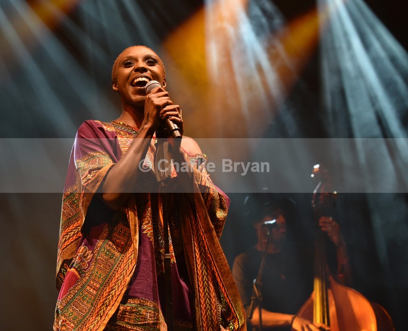 Womad 2015