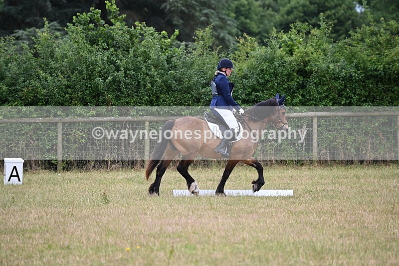 WJ6_9527 - Time 10:00 to 10:11