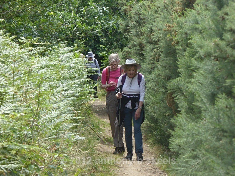 044 Leaving Cloughton behind by the Cleveland Way - York Minster Walkers Collection 2025