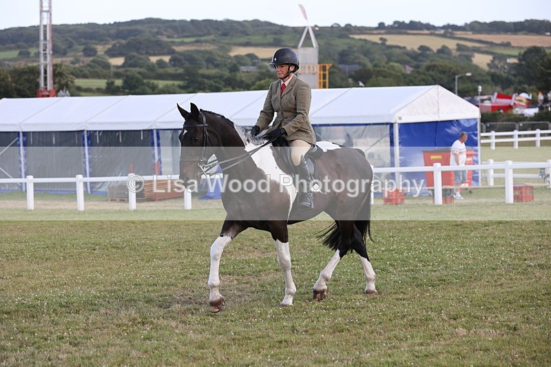 JPP_3573 - Class 22: Working Hunter 90cm