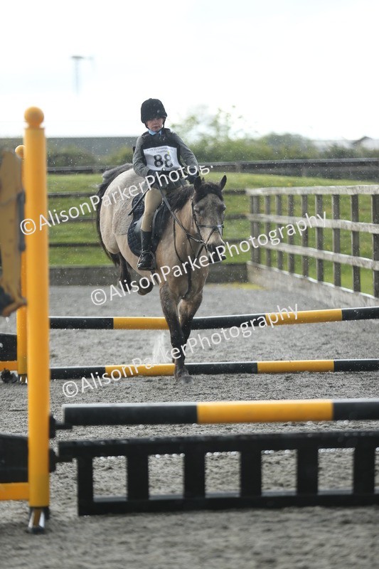 20260412-1944 - Show Jumping