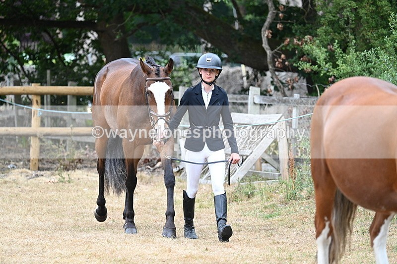 WJ7_8658 - Class 4a Prettiest Mare 14.2hh and over