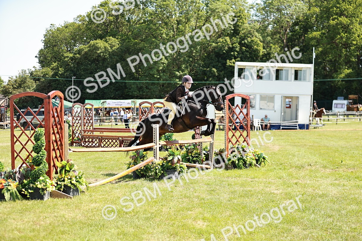 SBM_17646