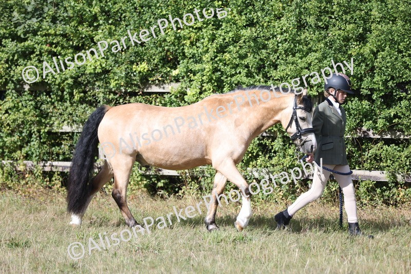 20250831-1522 - Class 21 - Inhand Open