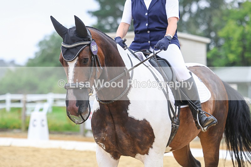 3E7A5434 - Class 2: Intro 4 2024 section B