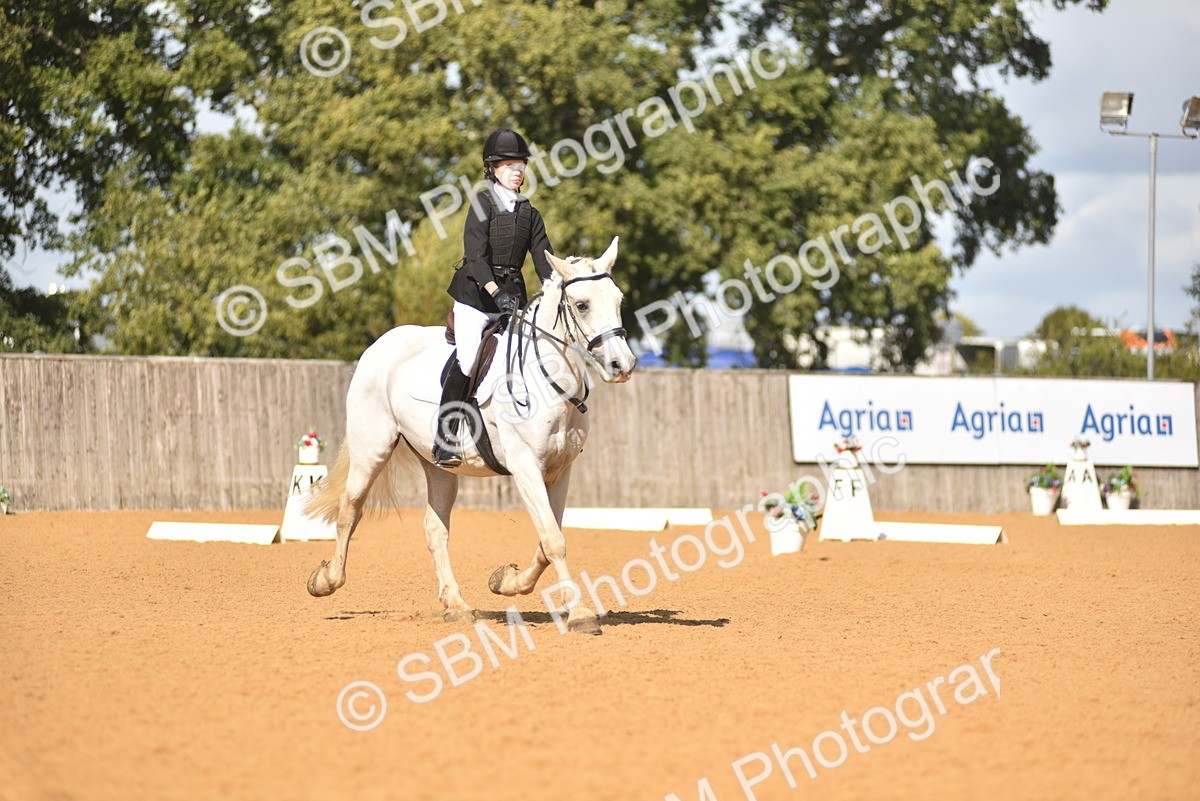 SBM_03339 - D4 - Small Tour Championship Intro 4